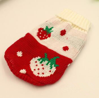 The Perfect Winter Companion: Pet Dog Sweater