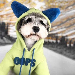 Cotton Small Dog Xia Jiarong Pet Sweater: Perfect for Cozy Days