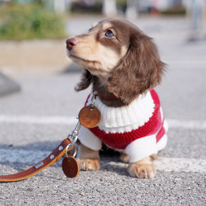 Keep Your Small Dog Cozy with Our Warm Thickened Sweater