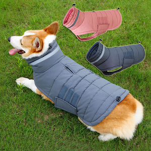 Keep Your Pup Warm This Winter with Our New Waterproof Dog Coat