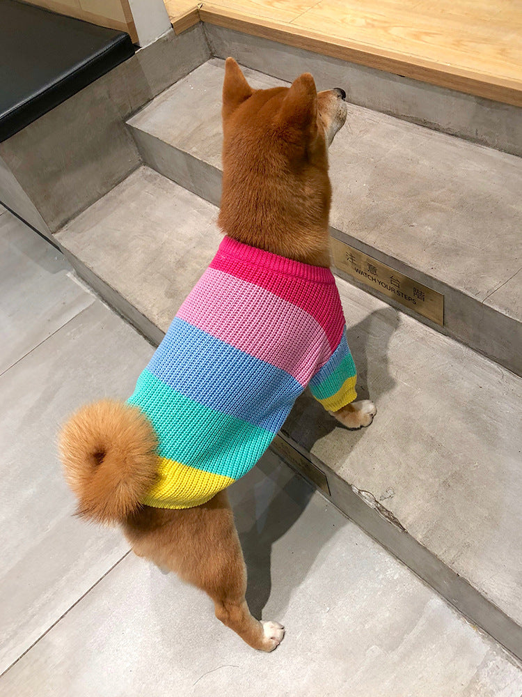 The Must-Have Rainbow Dog Sweater for Your Furry Friend