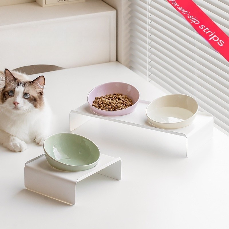 Ceramic Bevel Beveled Bowl for Your Feline Friend