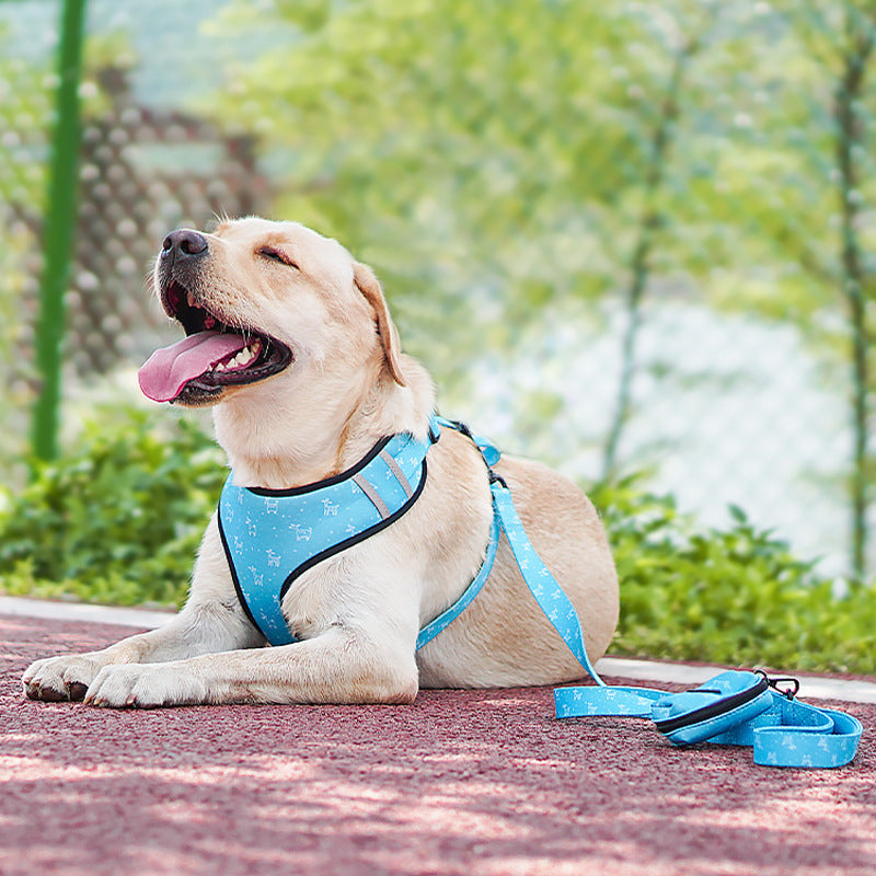 Discover the Perfect Pet Accessory: The Pet Dog Leash Harness With Bow
