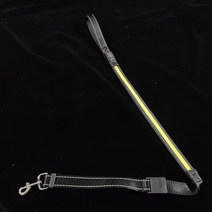 Unleash the Fun with the USB Charging Telescopic and Portable Pet Collar Suit