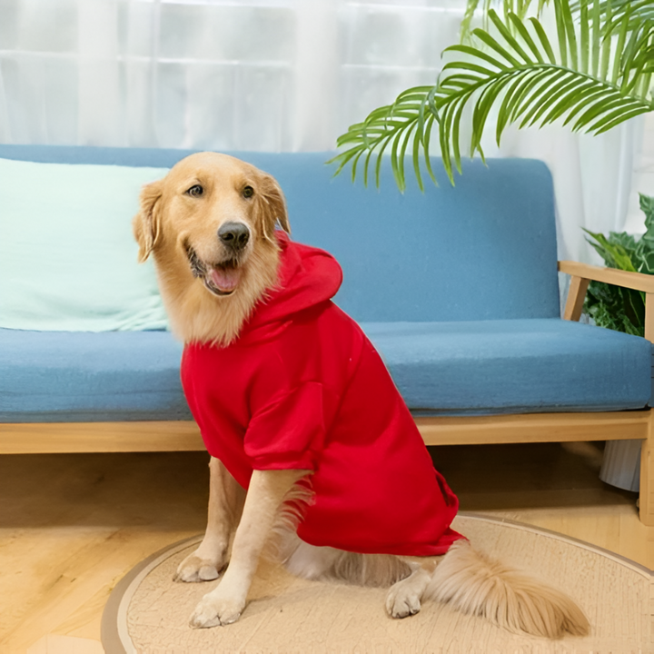 The Perfect Outfit for Every Pet