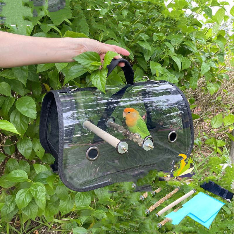 Why Every Parrot Owner Needs the Take-away Cage Parrot Outing Package Travel