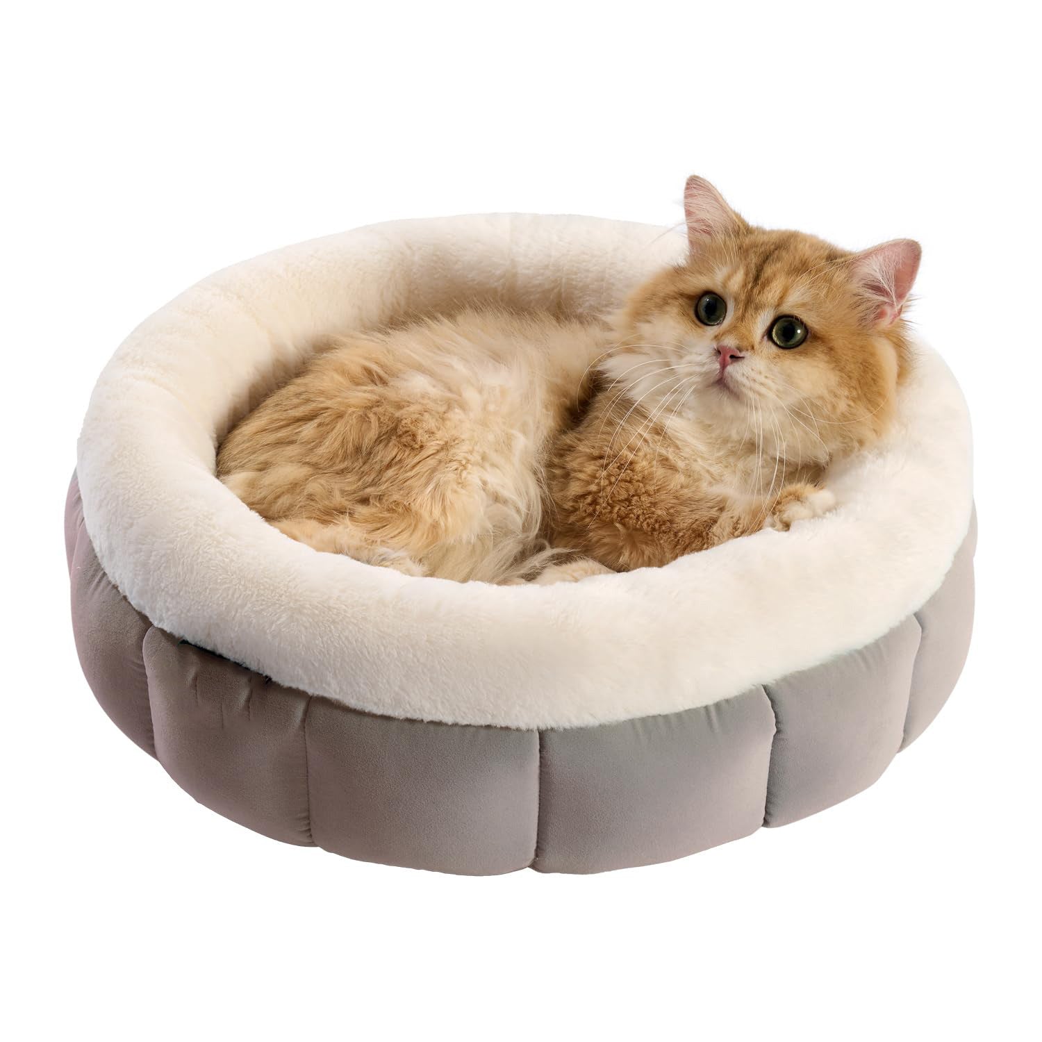 Transform Your Pet's Sleep with Our Donut Dog Beds