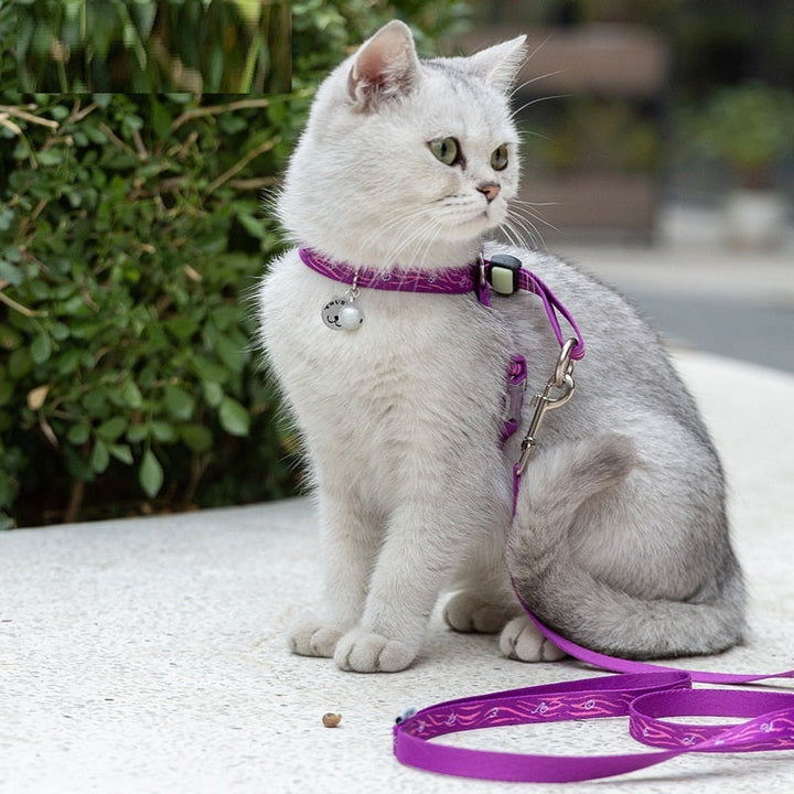 The Ultimate Pet Cat Bell Chest Strap Haulage Rope