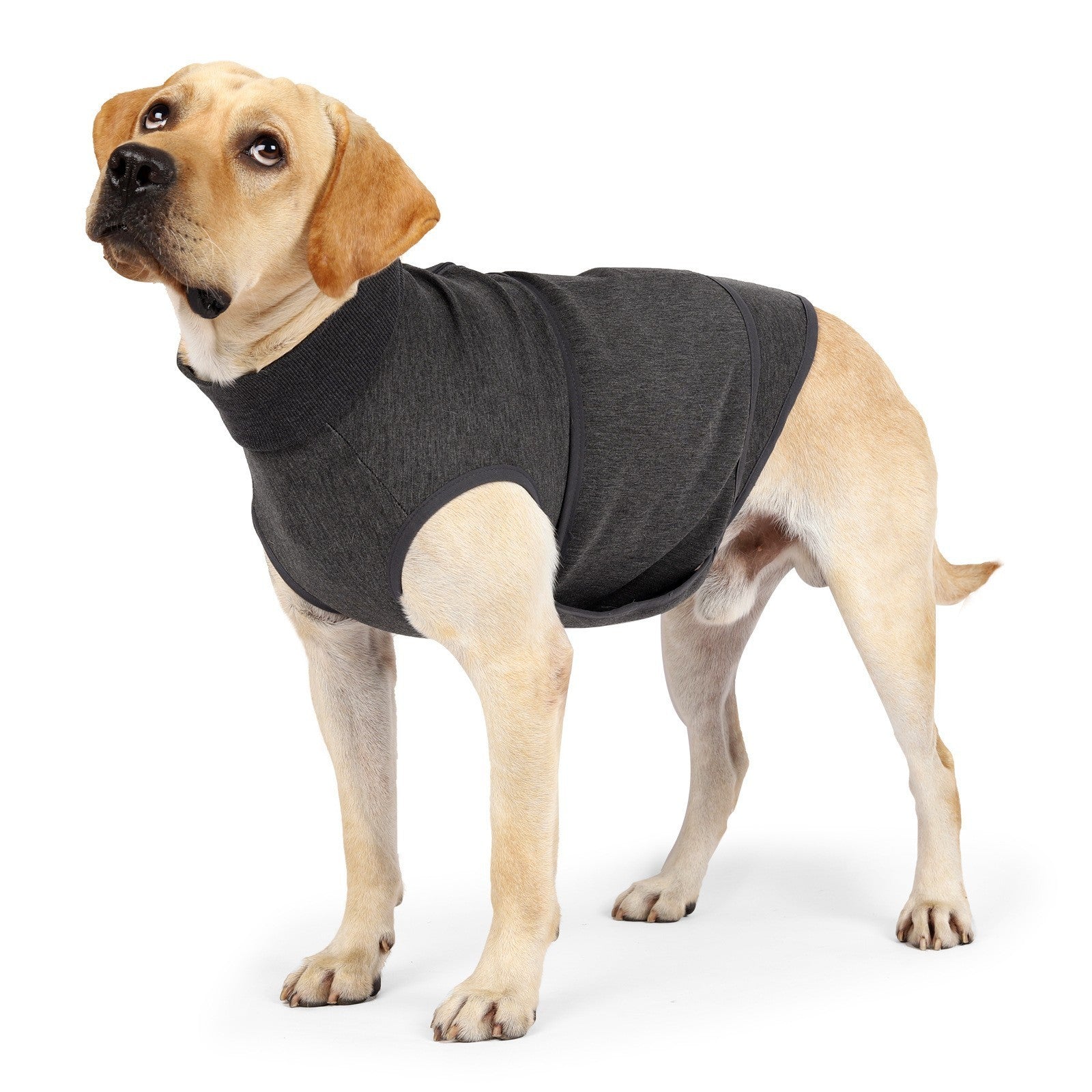 Pet Polyester Emotional Double Jacket Clothes