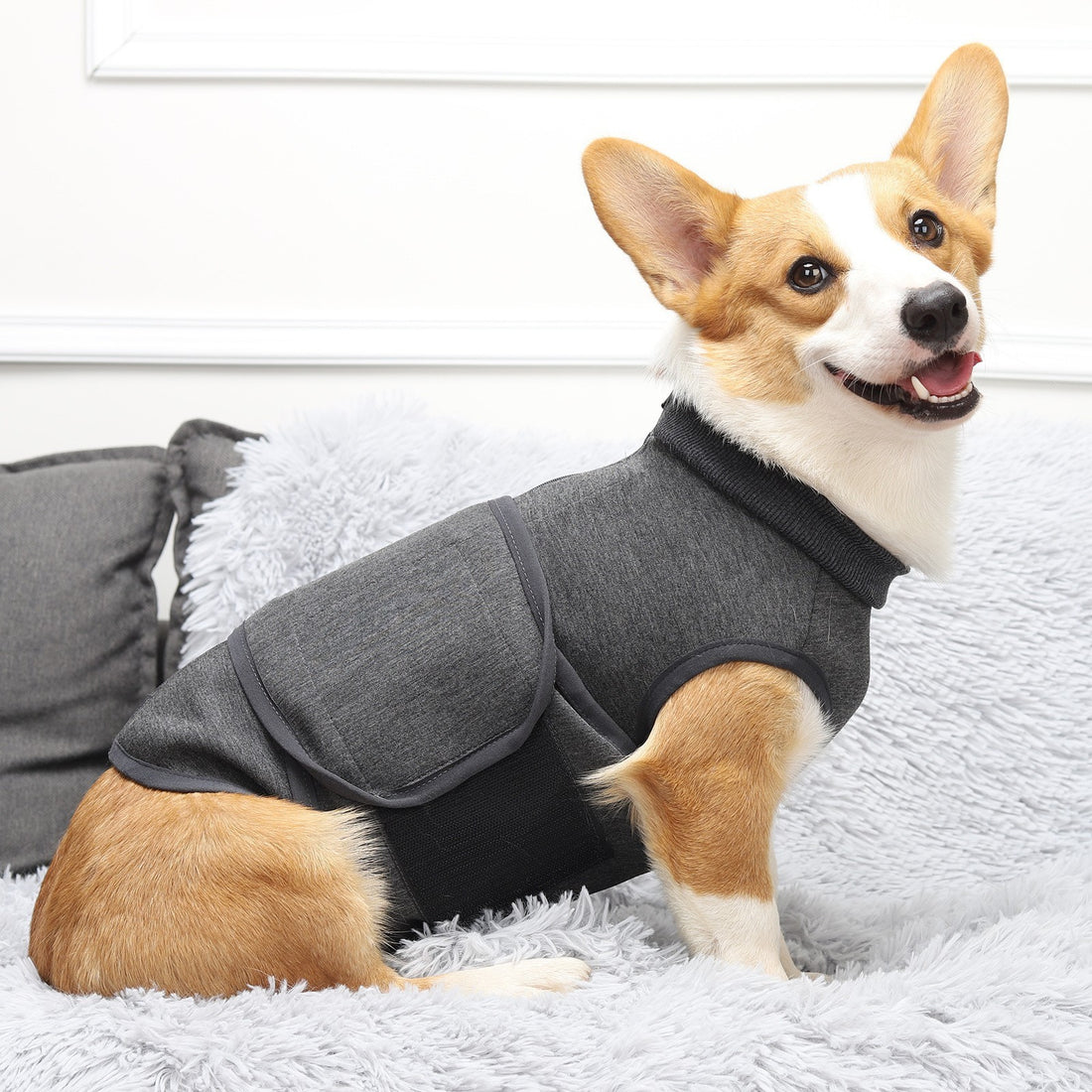 Pet Polyester Emotional Double Jacket Clothes