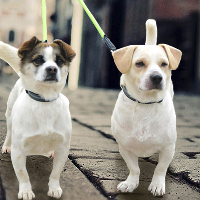 Double-Headed One-To-Two Nylon Dog Leash Reflective