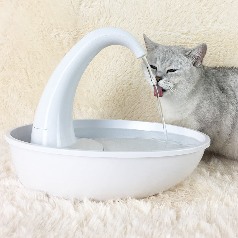 Pet Drinking Fountain Cat Feeding