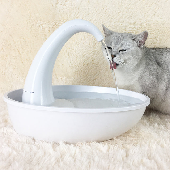 Pet Drinking Fountain Cat Feeding