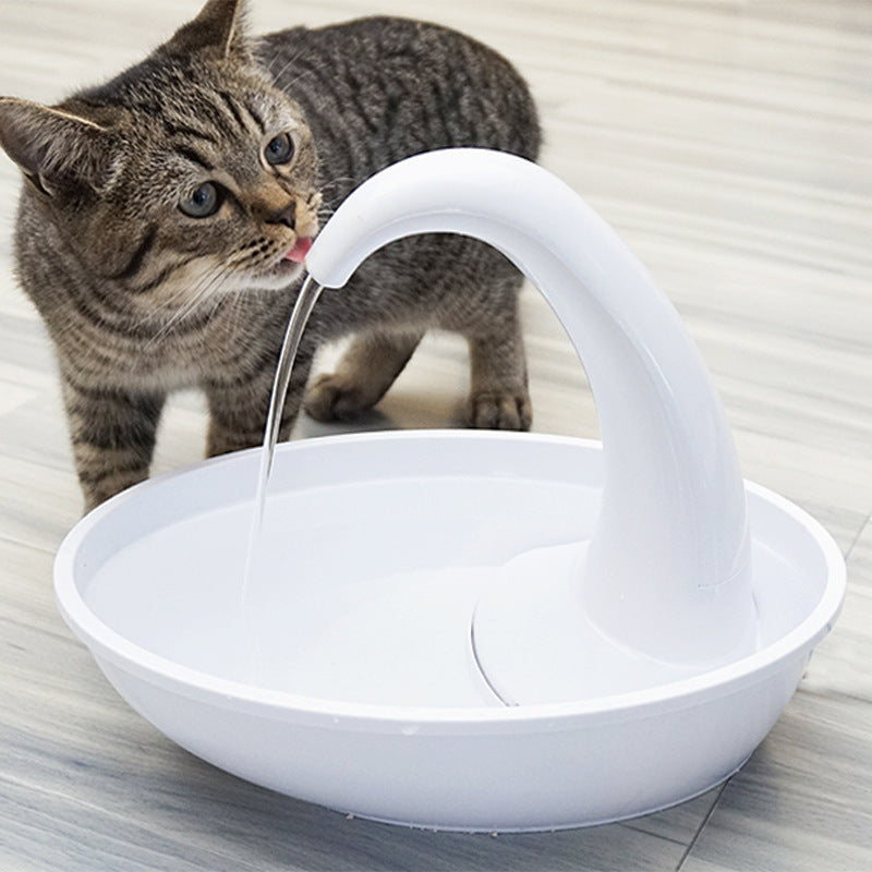 Pet Drinking Fountain Cat Feeding