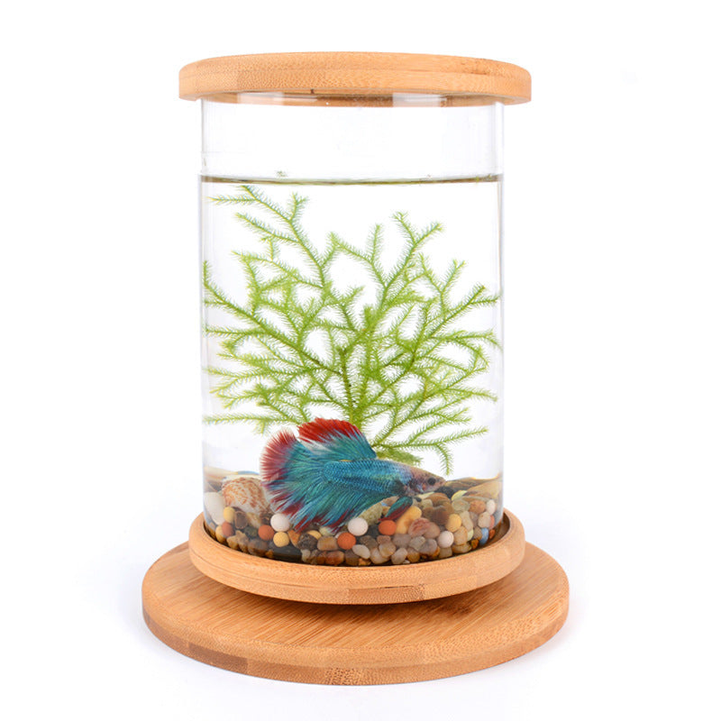 Aquarium Bamboo Base Mini Fish Tank
