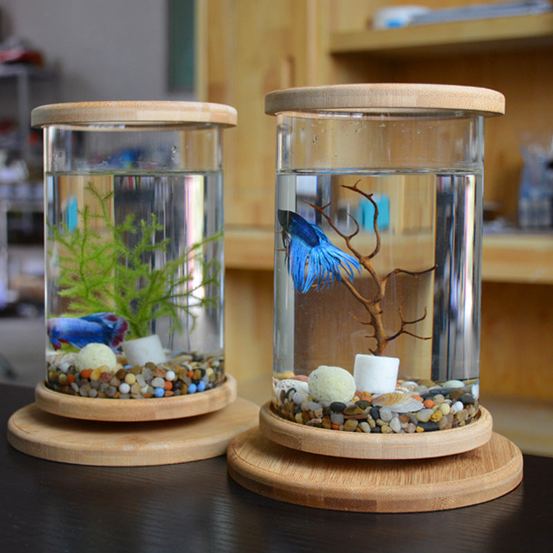 Aquarium Bamboo Base Mini Fish Tank