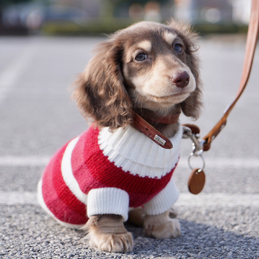Small Dog Warm Thickened Sweater