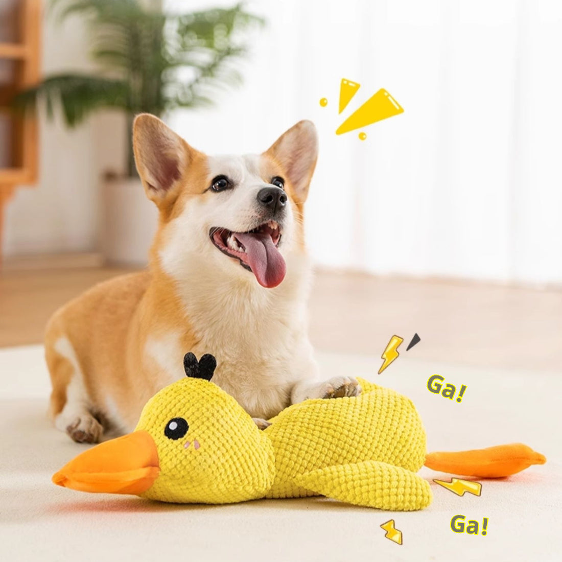 Dog Toy Bite-resistant Molar Sound