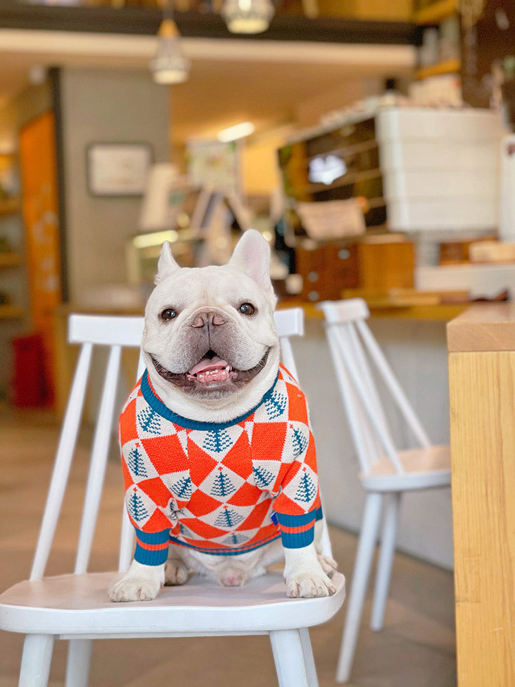 Pug Shiba Inu French Fighting Sweater