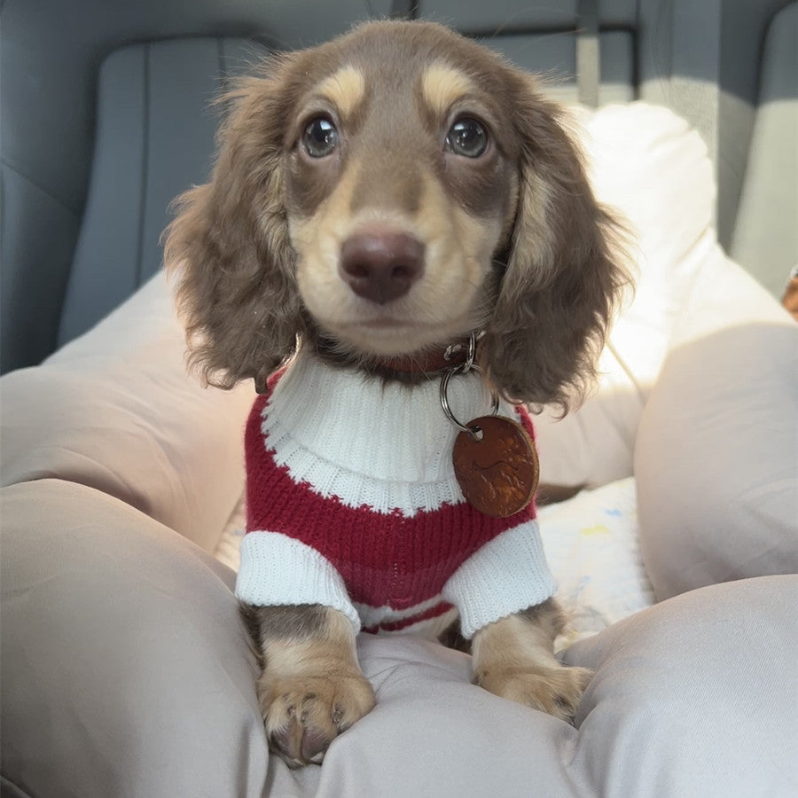 Small Dog Warm Thickened Sweater