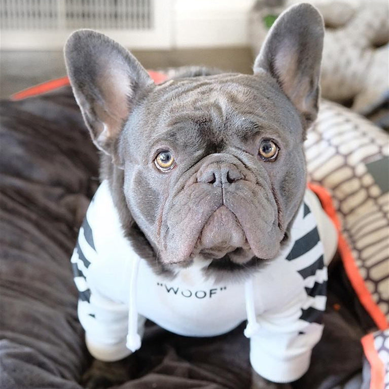 Fashion brand three-stripe dog sweater