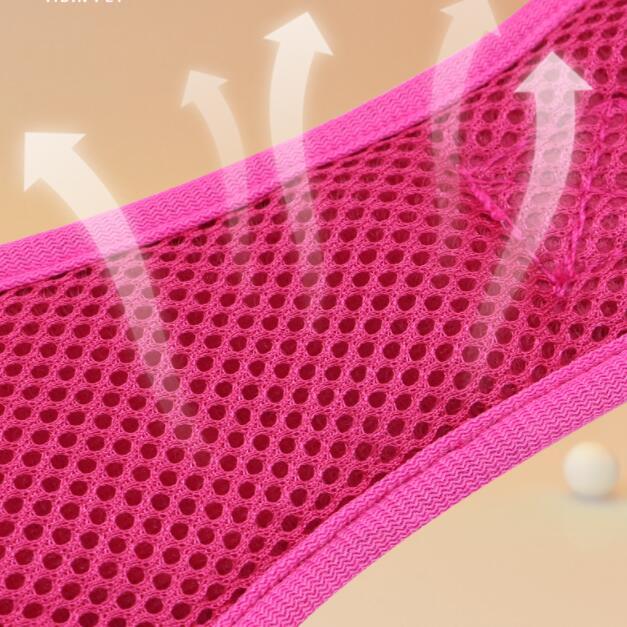 Large Dog Pet Leash Chest Harness