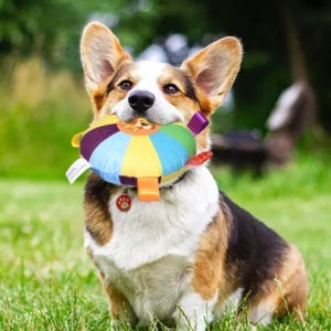 Dog Toy Bite-resistant Molar Sound