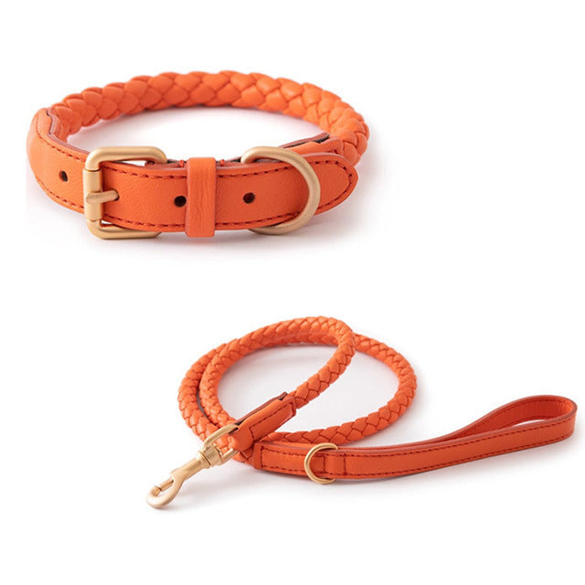 High-end Large Dog Collar Sturdy