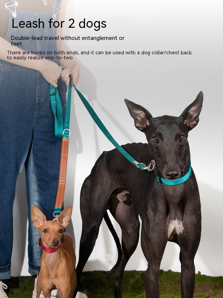 Pet Dog Traction Rope Chain