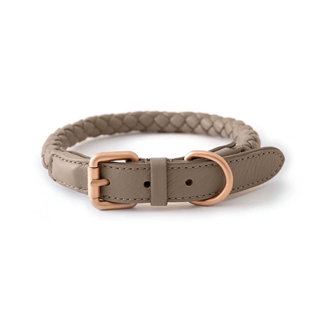 High-end Large Dog Collar Sturdy