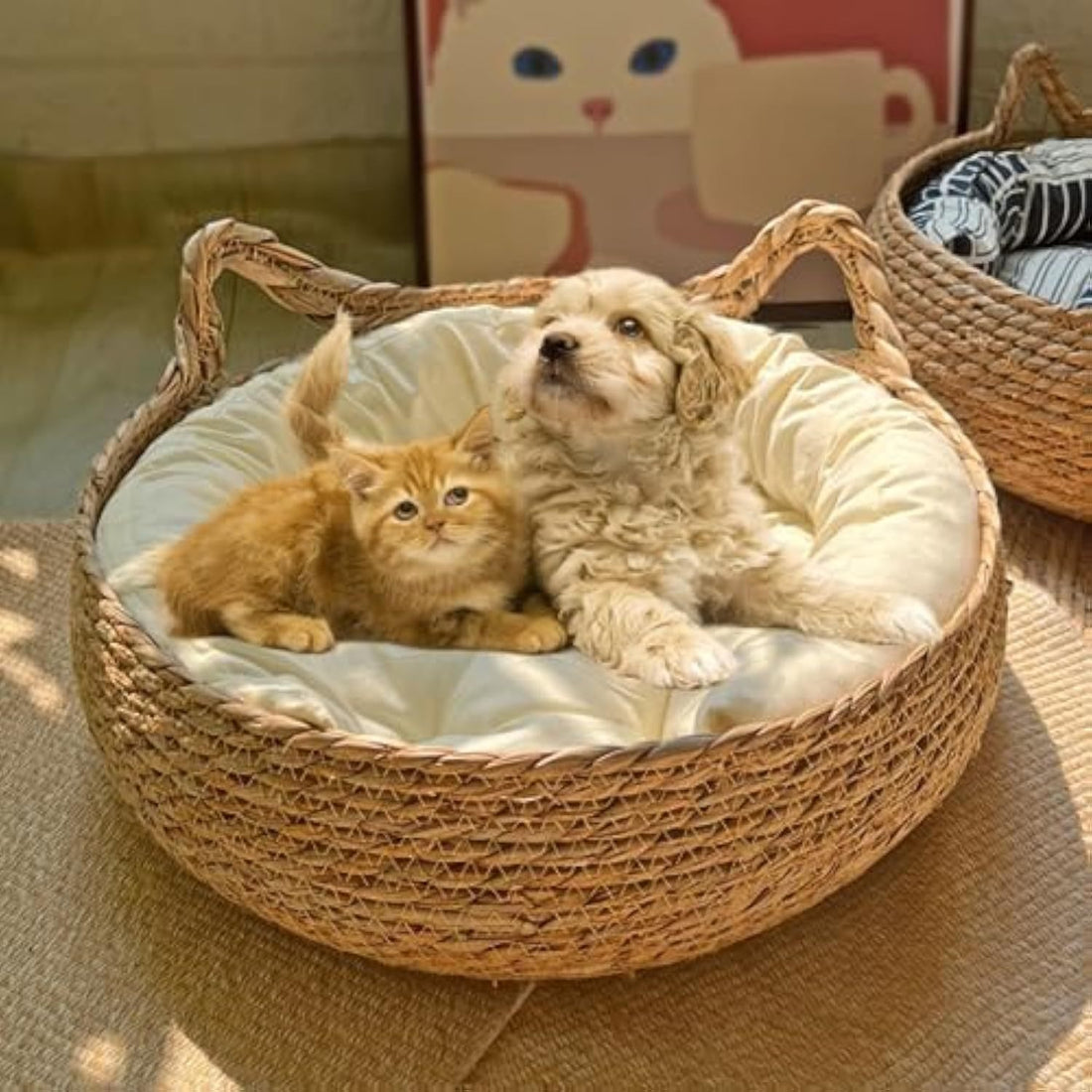 Natural Woven Cat Bed With Soft Cushion