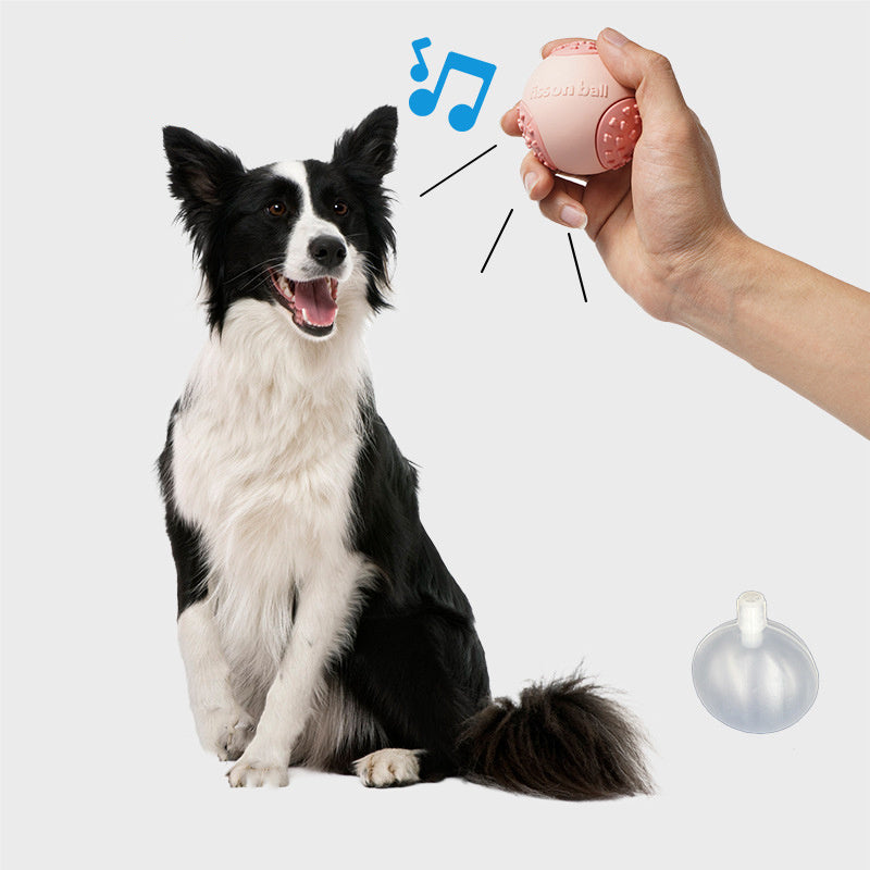 Rolling Ball For Dogs Dog Toys