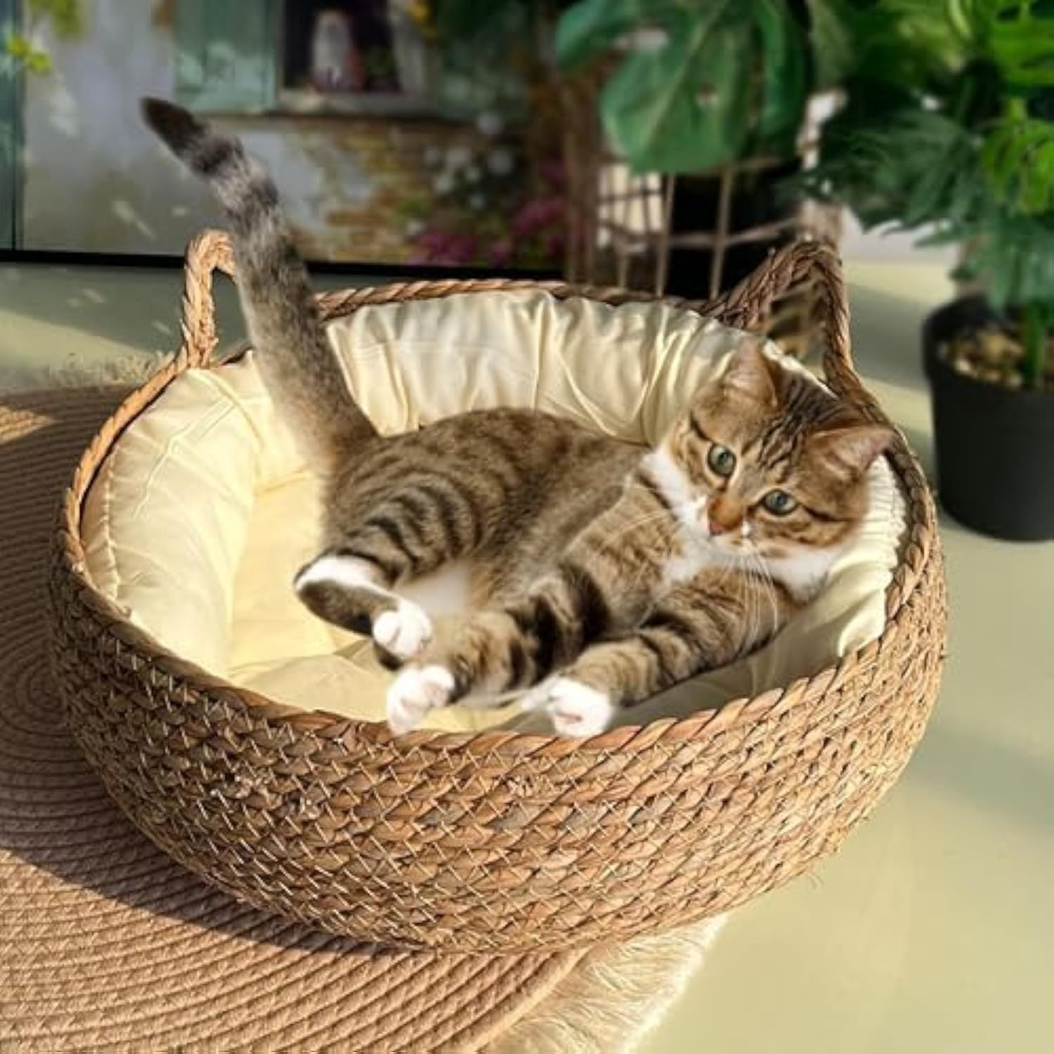 Natural Woven Cat Bed With Soft Cushion