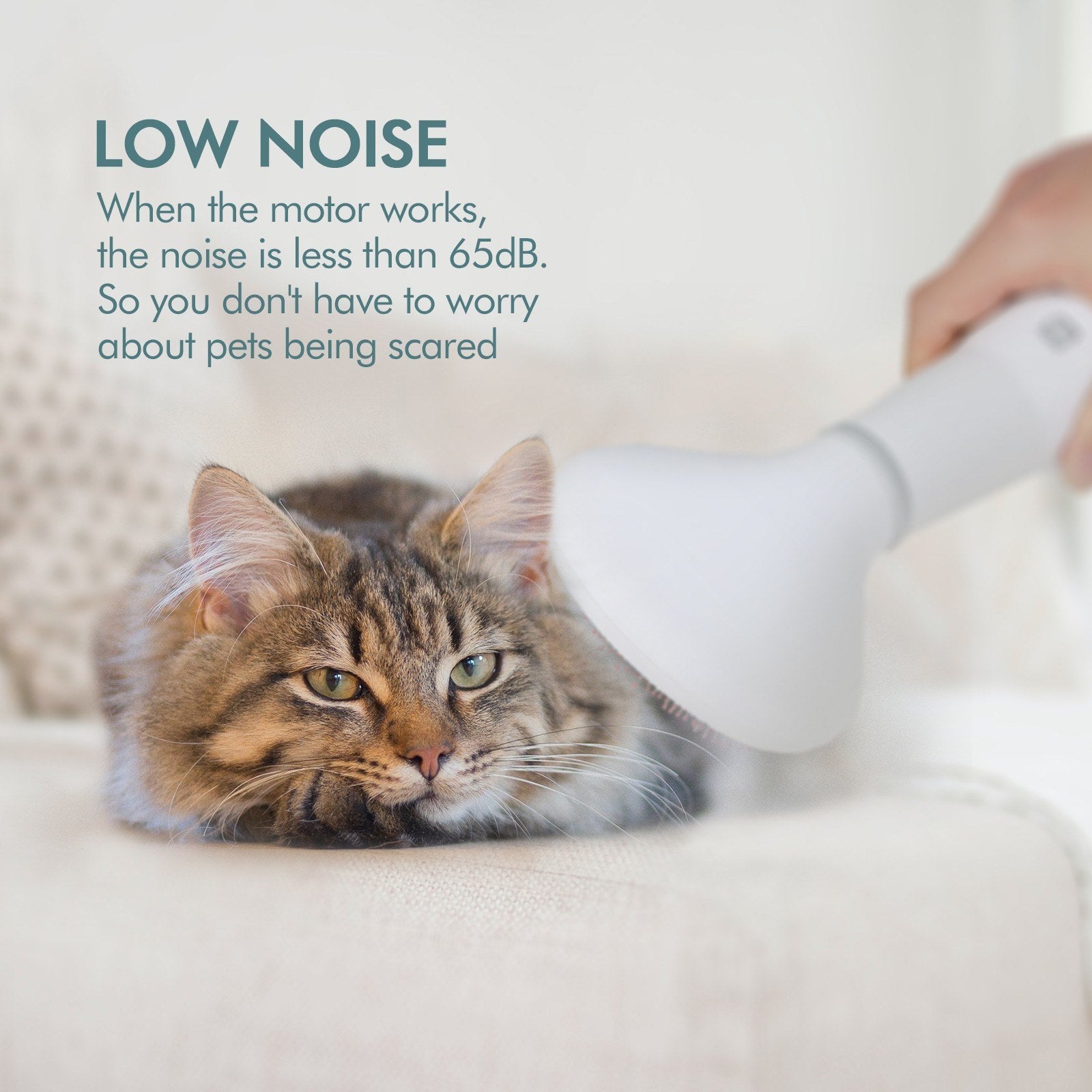 Pet Hair Dryer Grooming Dryer Slicker Brush