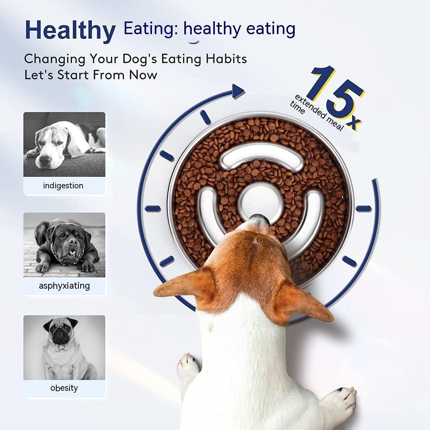 Pet Feeding Bowl Stainless Steel Neck Protector