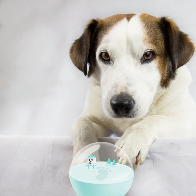 Supplies Gift Pet Paw Print DIY Memorial